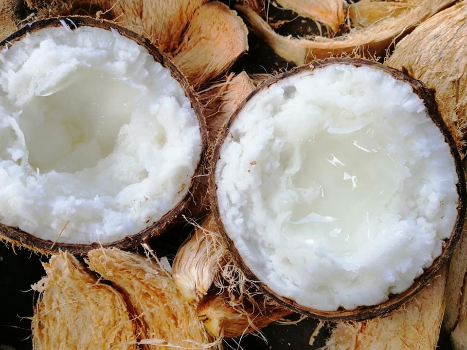 le-hoi-dua-sap-tra-vinh-2-1793207617.jpg