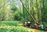 ĐỒNG THÁP – NƠI THIÊN NHIÊN KỂ CHUYỆN ĐẤT PHƯƠNG NAM