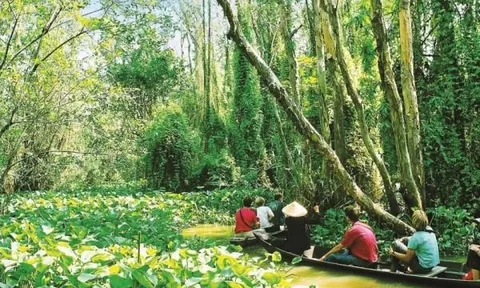 ĐỒNG THÁP – NƠI THIÊN NHIÊN KỂ CHUYỆN ĐẤT PHƯƠNG NAM