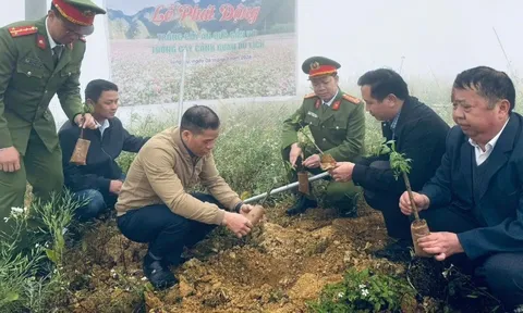 Lũng Cú phát động trồng cây ăn quả gắn phát triển du lịch xanh