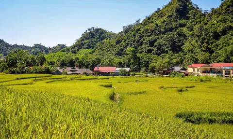 Theo chân nhóm Phượt MTB chinh phục cung đường đến Bản Tèn